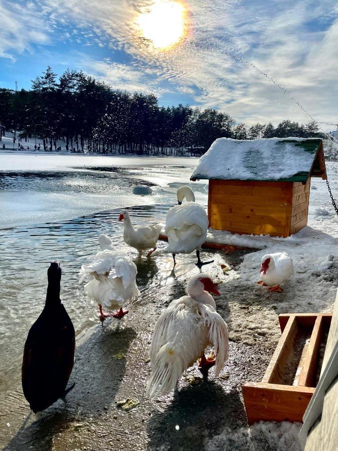 Lux Apartmani Vojinovic Zlatibor Dış mekan fotoğraf